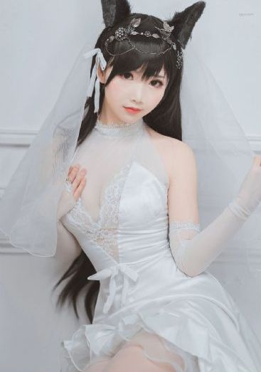 新有菜midv