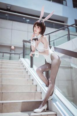 稗记舞咏